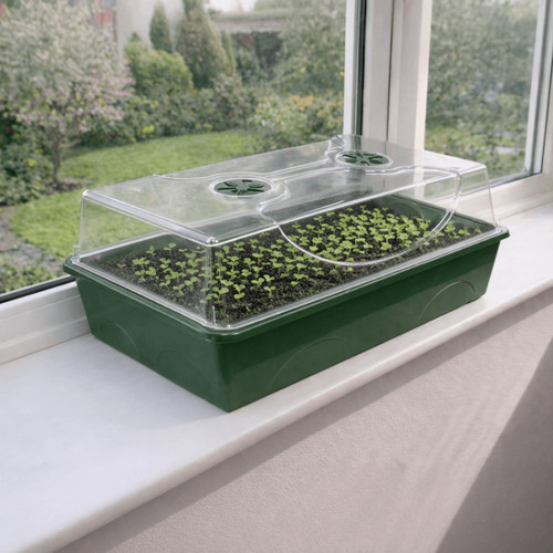 Seed spa propagator with - seed,