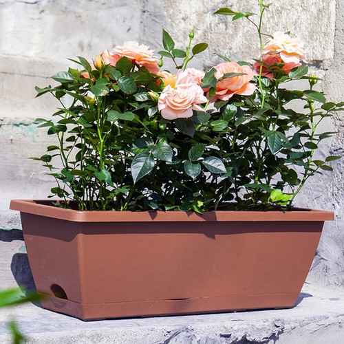 5pcs long trough - trough, planters