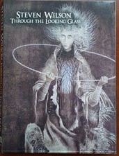 STEVEN WILSON through looking