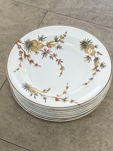Ridgway cenis soup - 10”,