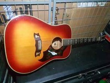 70's UNIVOX DOVE DREADNOUGHT made in IBANEZ JAPAN FACTORY