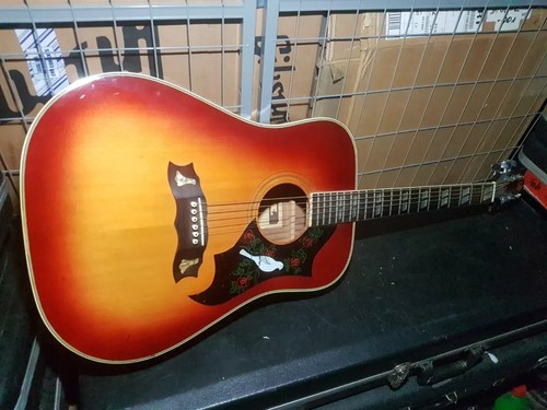 Univox dove dreadnought - 70's,