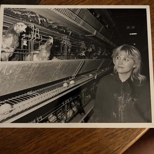 Emmerdale farm press photo - emmerdale,