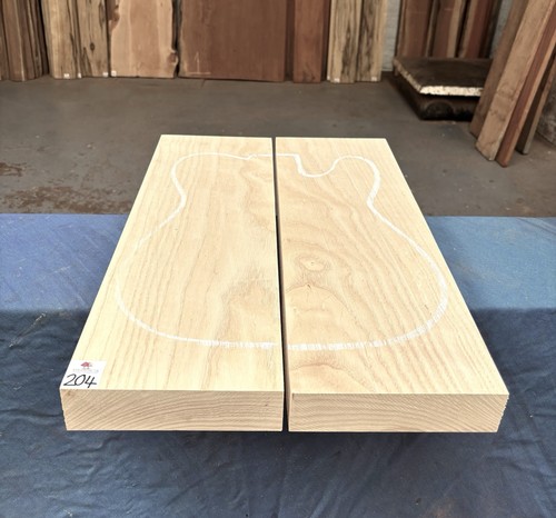 Swamp ash piece guitar body - swamp,