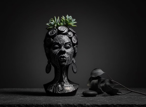 Spiral face plant pot african - face,