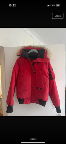Canada goose chilliwhack red - goose,