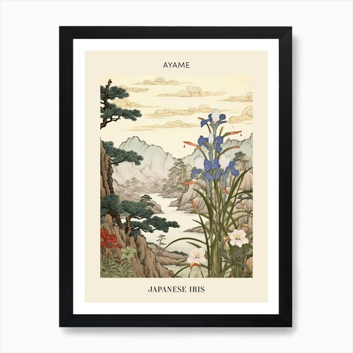 Ayame japanese iris - japanese, 2