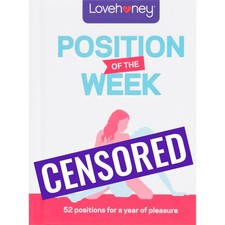 Lovehoney Sex Positions Book -