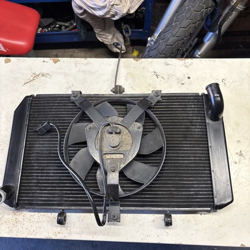 Kawasaki 1000r radiator 2019 - kawasaki,