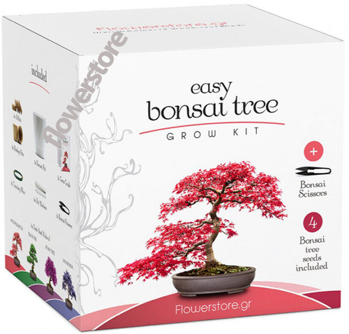Master the art bonsai - art,