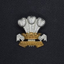 Victorian/Edwardian Leinster