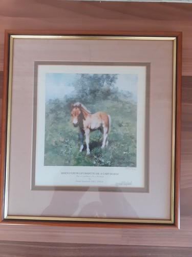 David shepherd limited - shepherd, edition