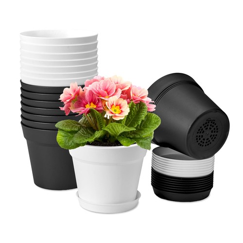 6inch plastic plant pots - 6inch,