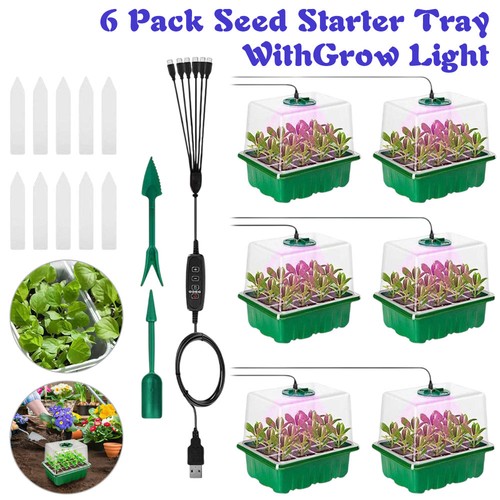 Pack indoor seed starter - seed,