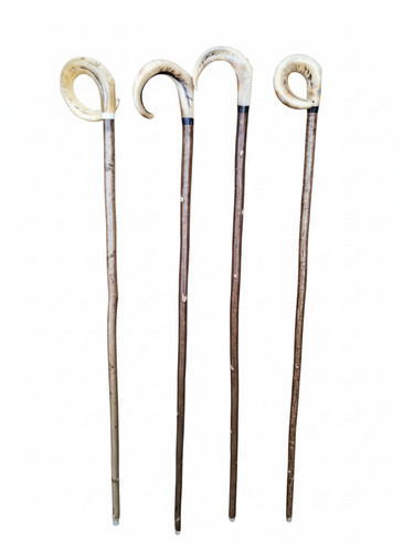 Rams horn crook hazel shaft - horn,