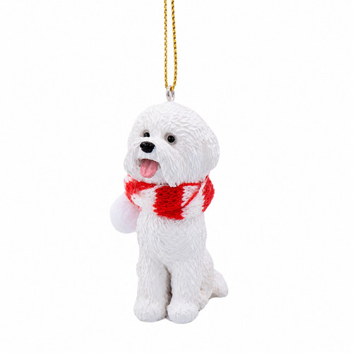 Bichon frise white - bichon, dog