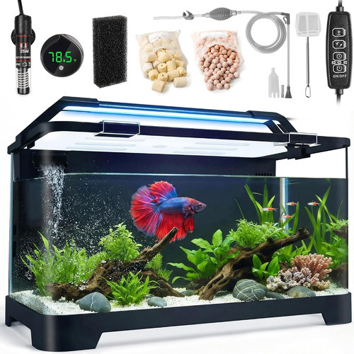 Gallon betta fish tank - fish,