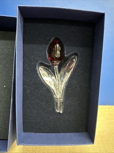Swarovski scs renewal gift - swarovski,