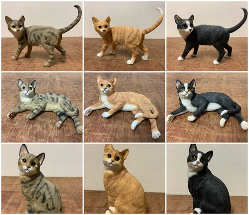 Ginger cat black - ginger,