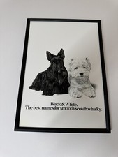New framed print scottie - print,