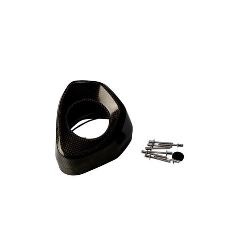 Akrapovic carbon fiber exhaust - carbon,