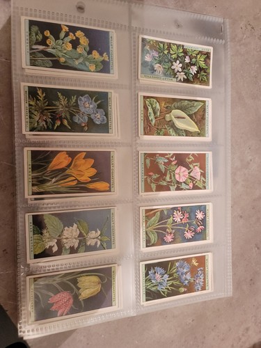 Wills wild flowers 1923 - wills,