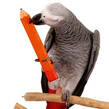 Parrot Pencil Foot Toy - Large