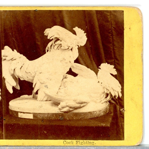 Statues cock - statues,,