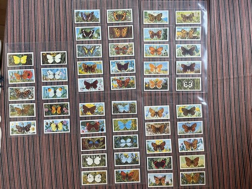 1963 british butterflies trade - 1963,