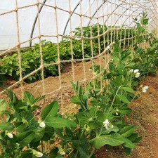 Jute Climbing Plant Support