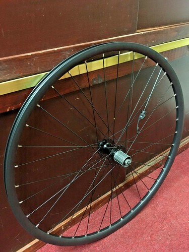29er rear wheel disc hub - disc,