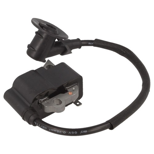 Pole type ignition - type,