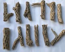 Cholla Wood (12 Pieces) ~6 Inch For Aquarium Shrimp, Snails Or Parrots 