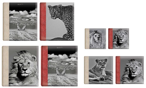 Wildlife photo album - wildlife,