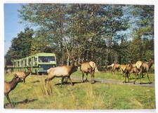 USA Washington State