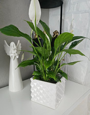 White Ceramic Flower Pot Cube