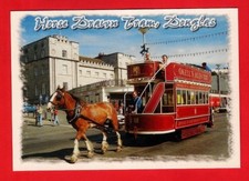 Isle of Man Postcard - Horse