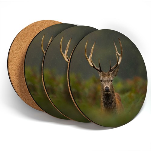 Coasters young red deer - 4,
