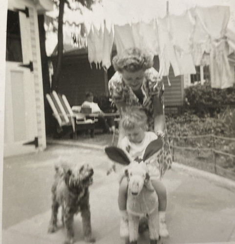 1951 adorable young little - 1951,
