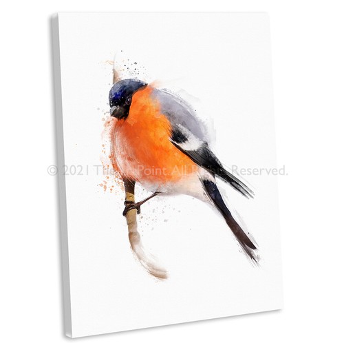 Bullfinch portrait watercolour - bullfinch,