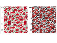 Craft Cotton Fabric Red Poppy