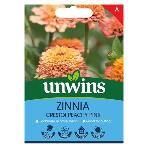Zinnia cresto peachy - zinnia,