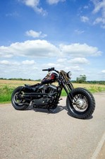 Harley Davidson Sportster 1200 - Custom build, mint condition, ready to go!