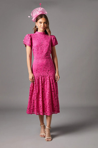 Coast pink midi dress - midi,