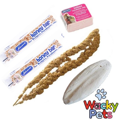 Budgie canary bird treats - bird,