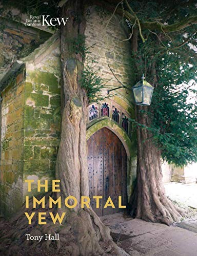 Immortal yew the tony hall - the,