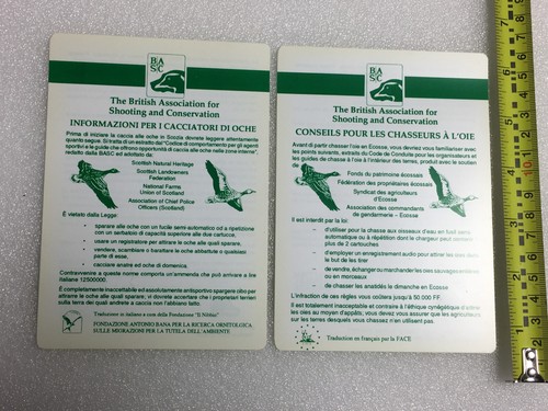 Basc info cards for visiting - for,