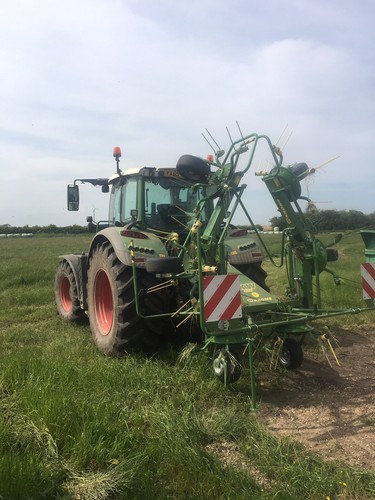 Straw hay haylage - straw, raking