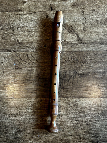 Melody treble recorder - melody,
