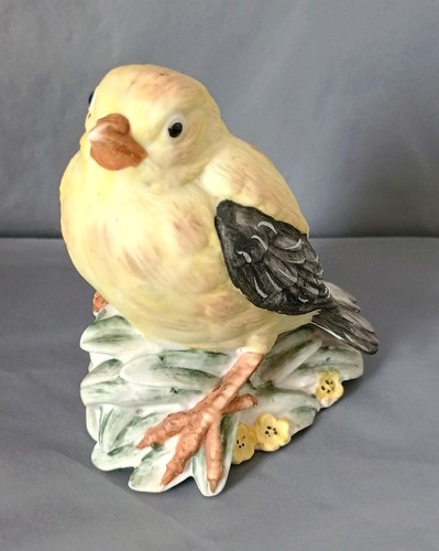 Stunning yellow bird - stunning,